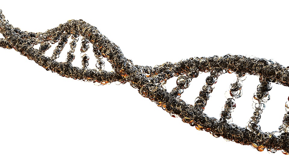Vlákno DNA - ilustrační obrázek