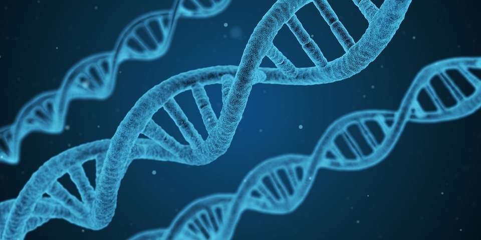 DNA - ilustrační obrázek