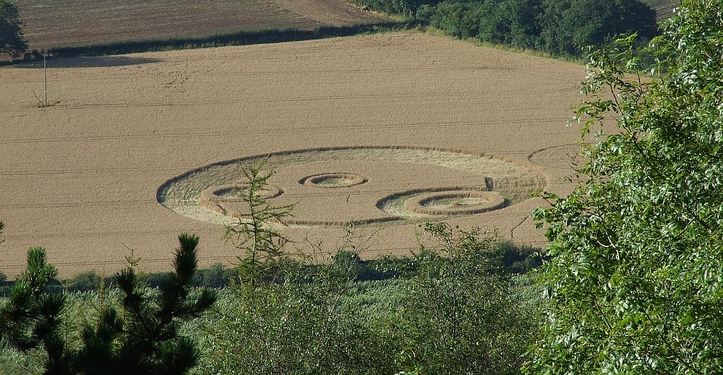 Kruh v obilí - ilustrační obrázek